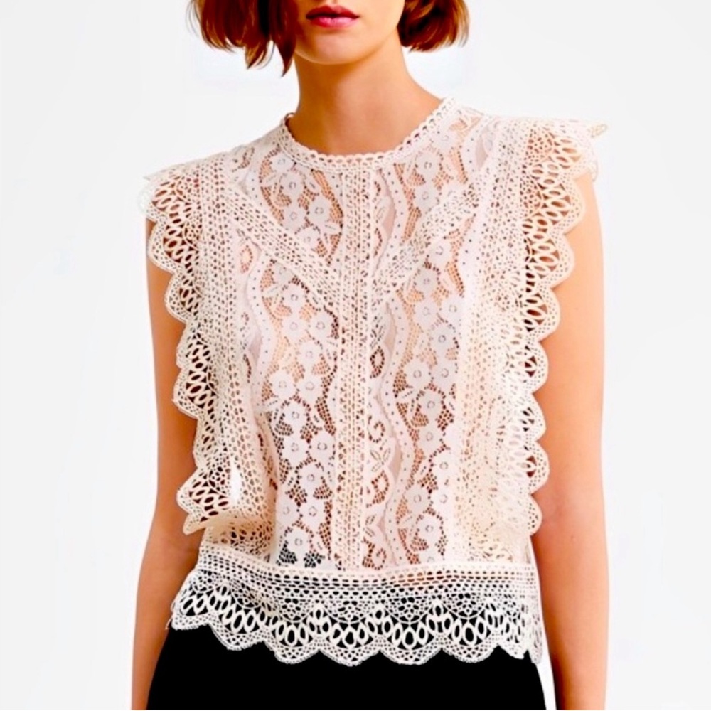 Zara Lace Knit Blouse in Blush Size Small